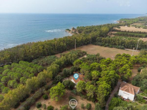 Casa Flamingo
